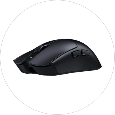 Mouse